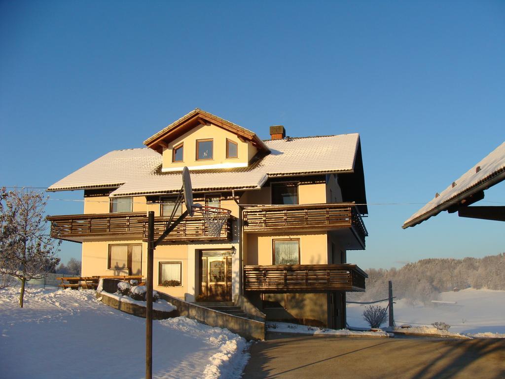 Stefanja Gora Apartment Vrtacnik מראה חיצוני תמונה
